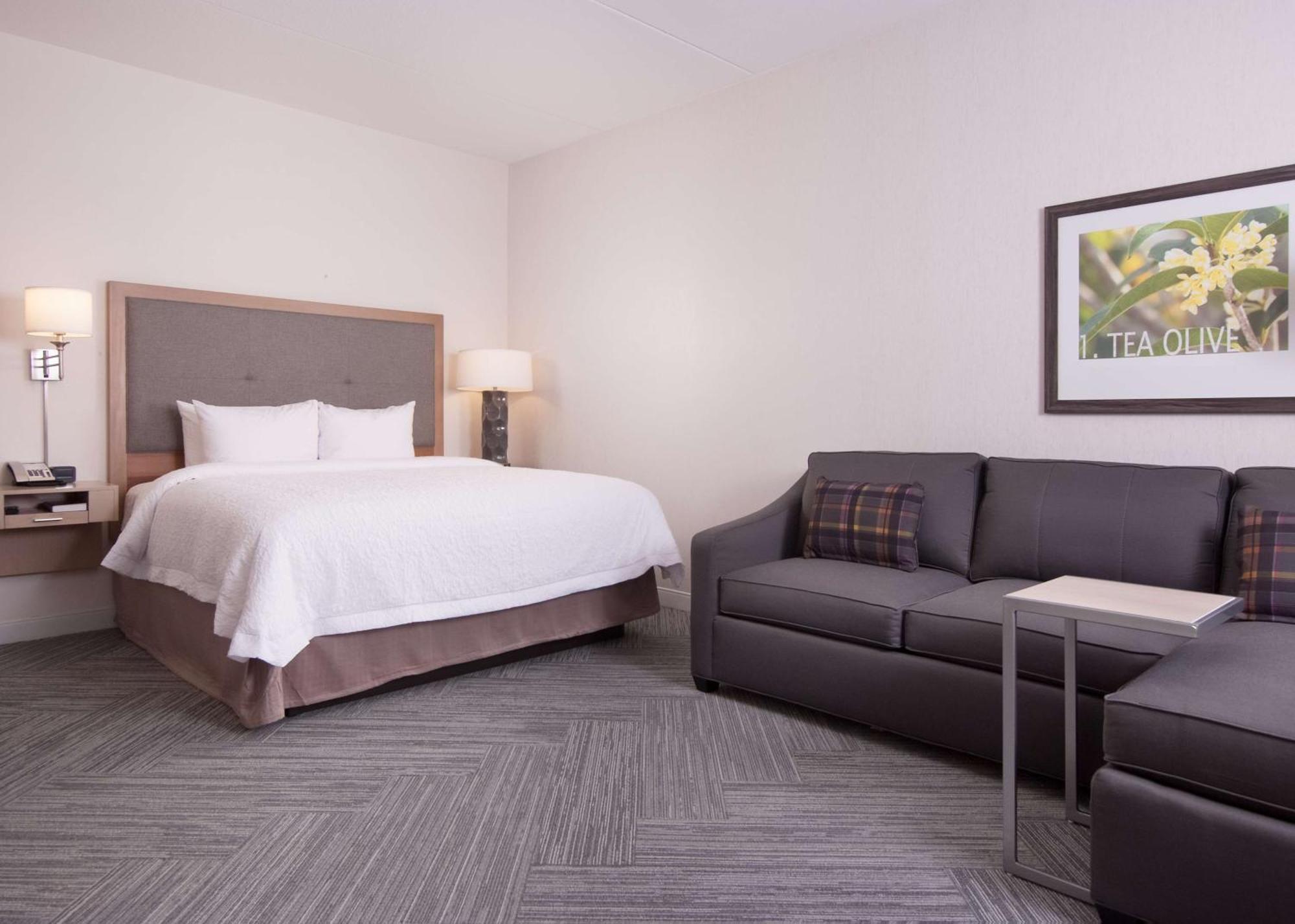 Hampton Inn & Suites By Hilton Augusta-Washington Rd מראה חיצוני תמונה